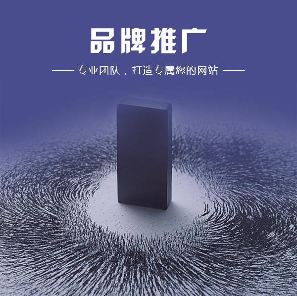 2023品牌网络推广的9种方法(图2)