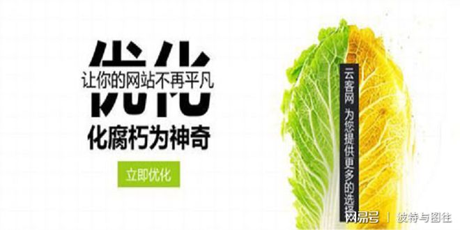 SEO网站优化为什么首选杭州云客网？(图3)